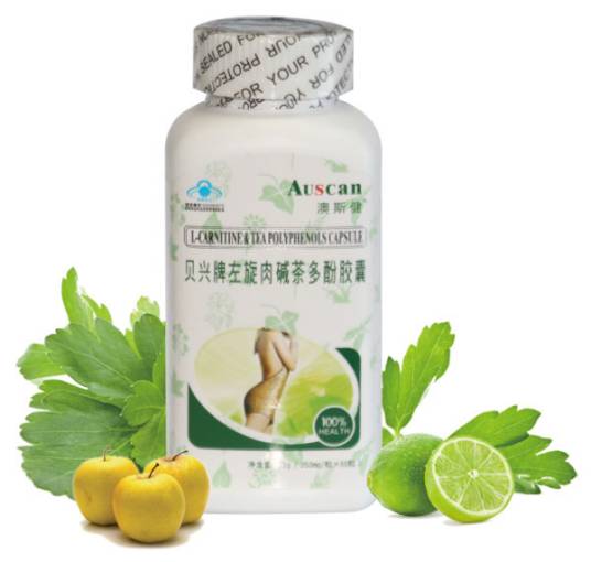 左旋肉碱茶多酚
