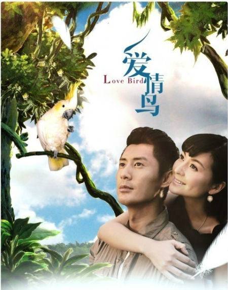 爱情鸟（网络歌曲）