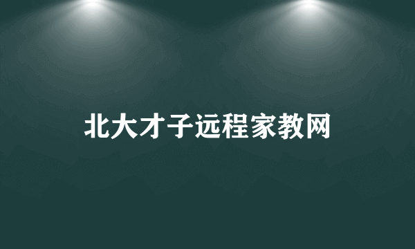 北大才子远程家教网