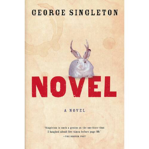 Novel（2011年Houghton Mifflin Harcourt出版的图书）