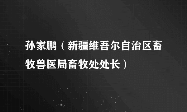 孙家鹏（新疆维吾尔自治区畜牧兽医局畜牧处处长）