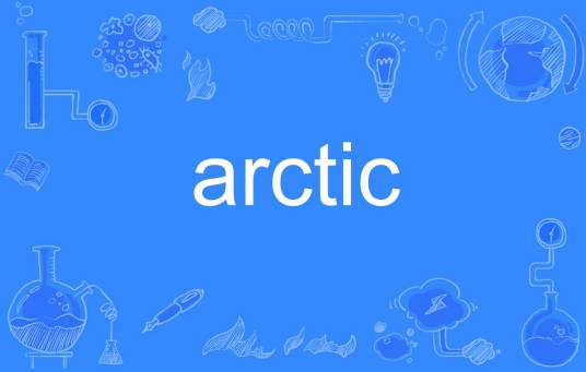 arctic（英文单词）