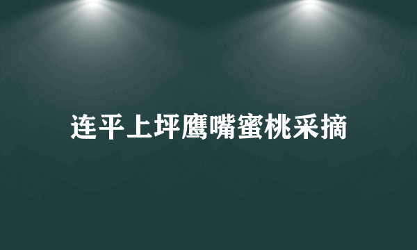 连平上坪鹰嘴蜜桃采摘