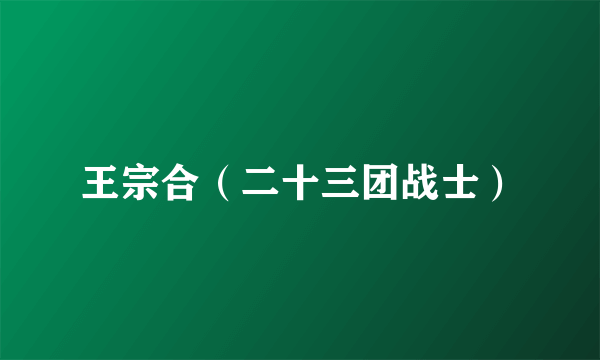 王宗合（二十三团战士）