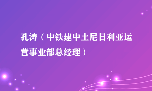 孔涛（中铁建中土尼日利亚运营事业部总经理）