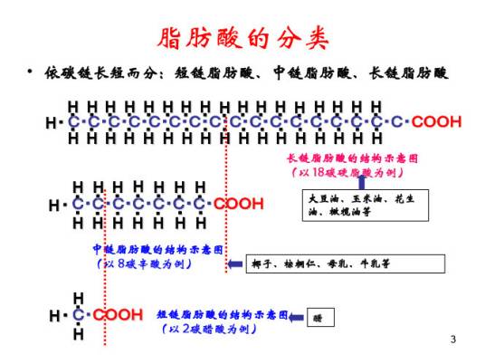 中长链脂肪酸