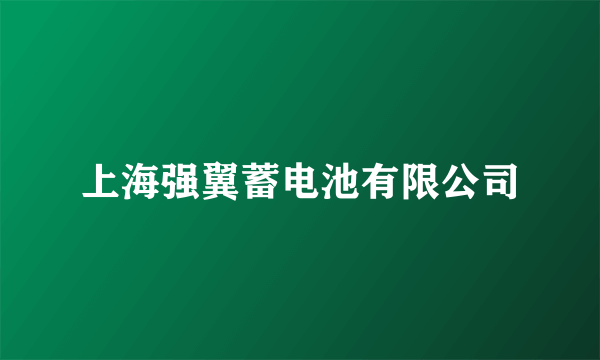 上海强翼蓄电池有限公司