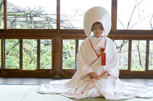 大和抚子（日本传统的优秀女性代称）