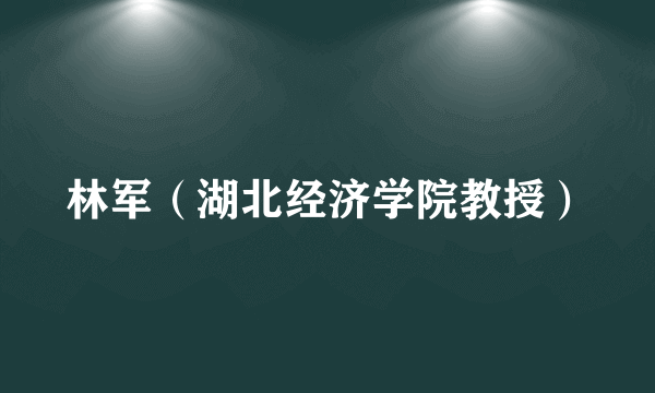 林军（湖北经济学院教授）