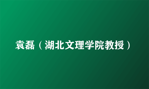 袁磊（湖北文理学院教授）