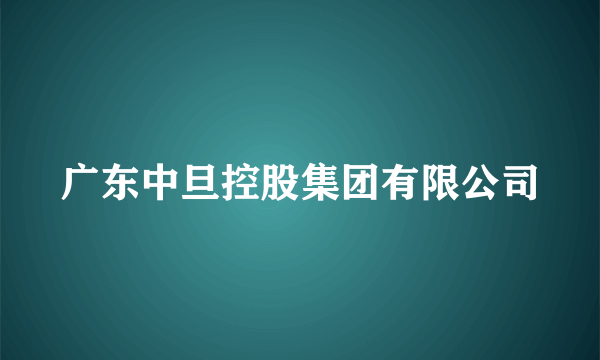 广东中旦控股集团有限公司