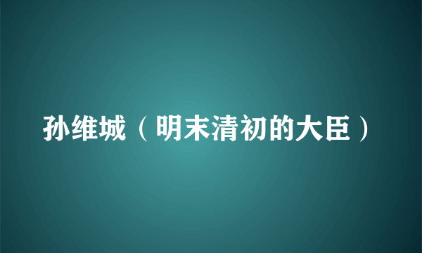 孙维城（明末清初的大臣）