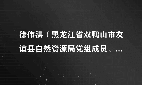 徐伟洪（黑龙江省双鸭山市友谊县自然资源局党组成员、三级主任科员）