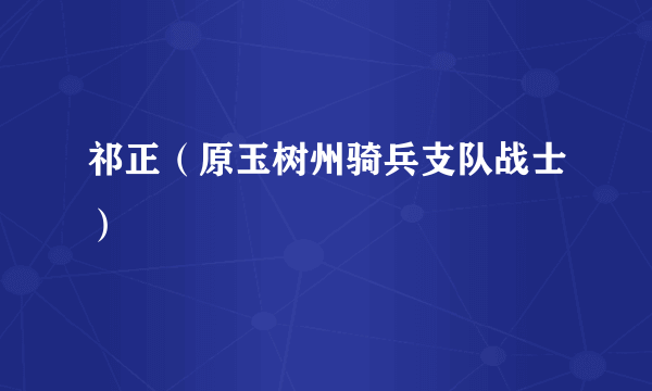 祁正（原玉树州骑兵支队战士）