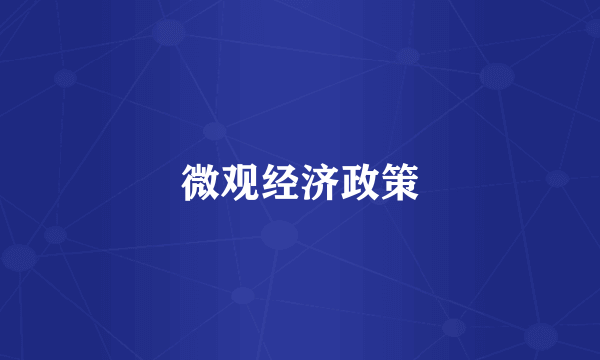 微观经济政策