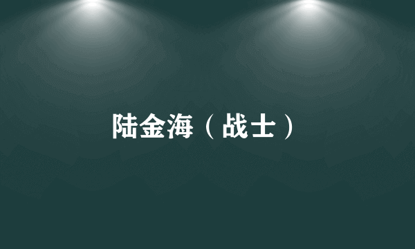 陆金海（战士）