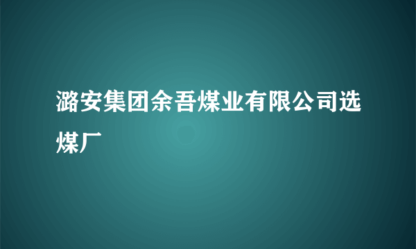潞安集团余吾煤业有限公司选煤厂