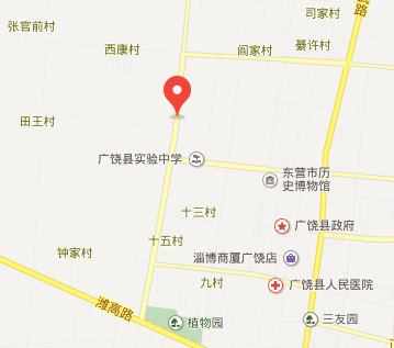 西王村（山东广饶经济开发区西王村）