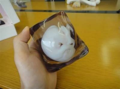胎儿3D模型