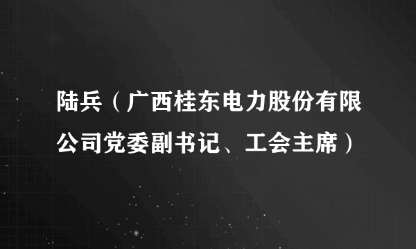 陆兵（广西桂东电力股份有限公司党委副书记、工会主席）
