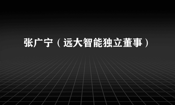 张广宁（远大智能独立董事）