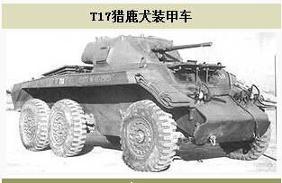 T17猎鹿犬