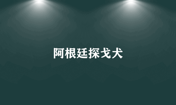阿根廷探戈犬