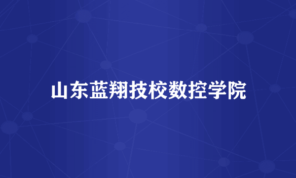 山东蓝翔技校数控学院