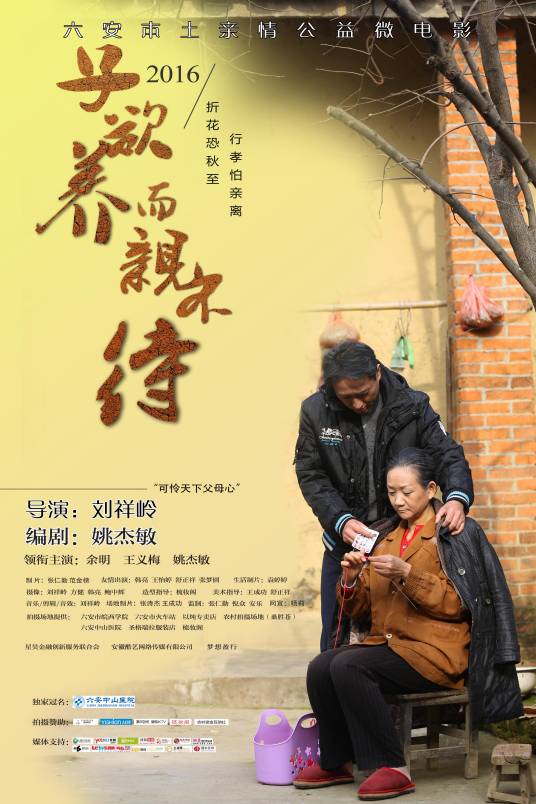 子欲养而亲不待（2016年同名微电影）