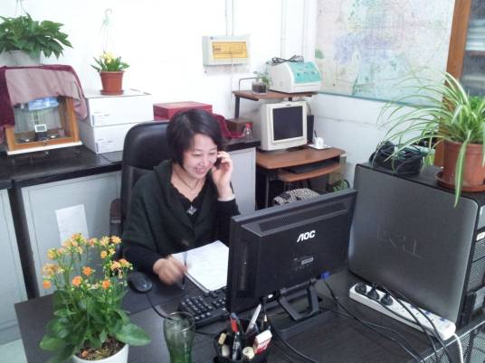 王秀芬（北京化工大学副教授）