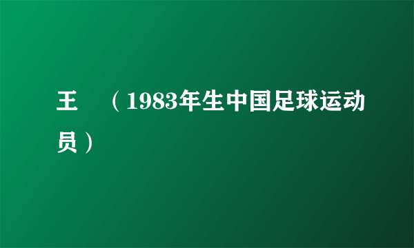 王垚（1983年生中国足球运动员）