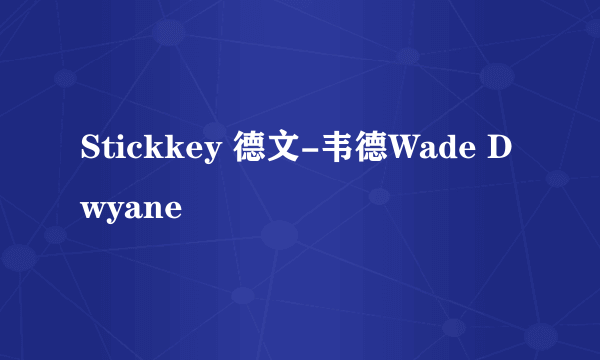 Stickkey 德文-韦德Wade Dwyane