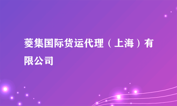 菱集国际货运代理（上海）有限公司