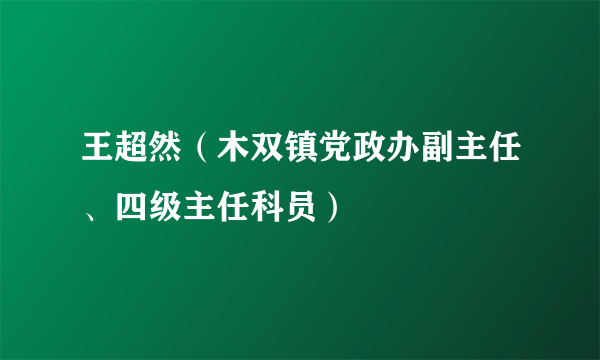 王超然（木双镇党政办副主任、四级主任科员）