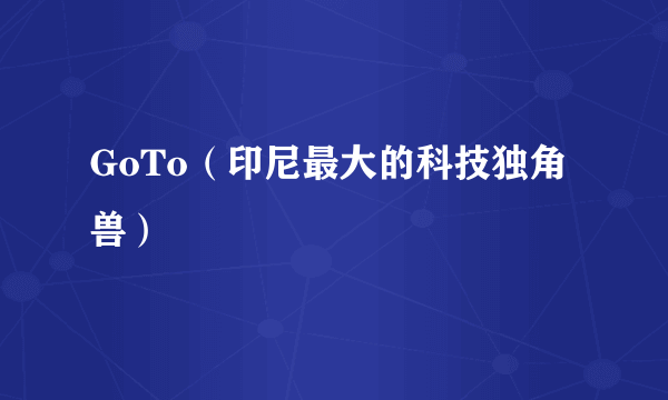 GoTo（印尼最大的科技独角兽）