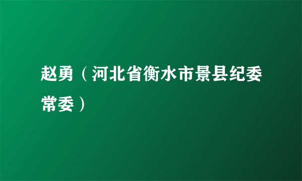 赵勇（河北省衡水市景县纪委常委）