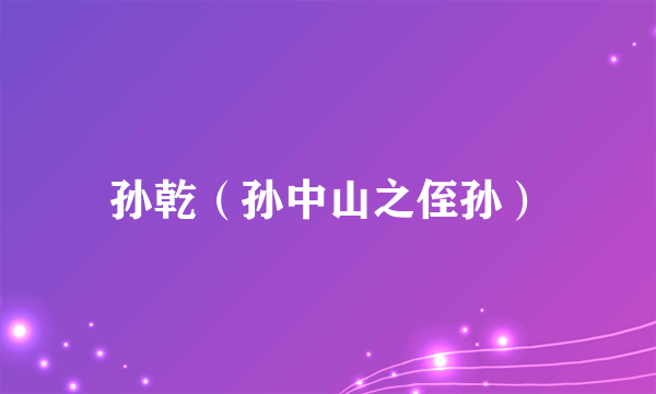 孙乾（孙中山之侄孙）