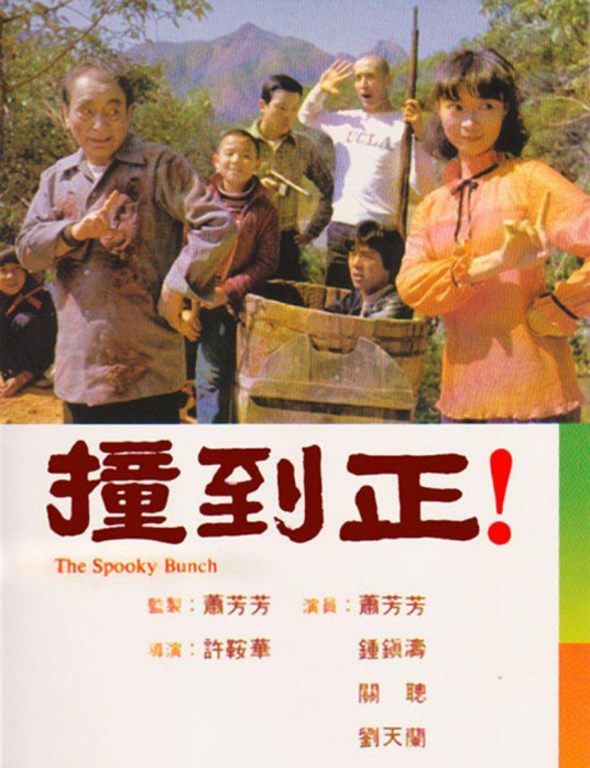 撞到正（1980年许鞍华执导的动作电影）