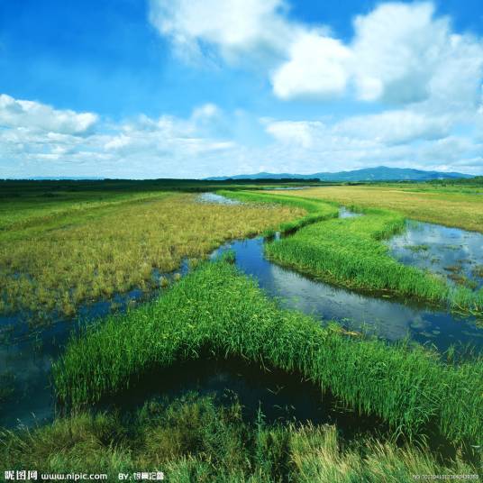 三江平原湿地