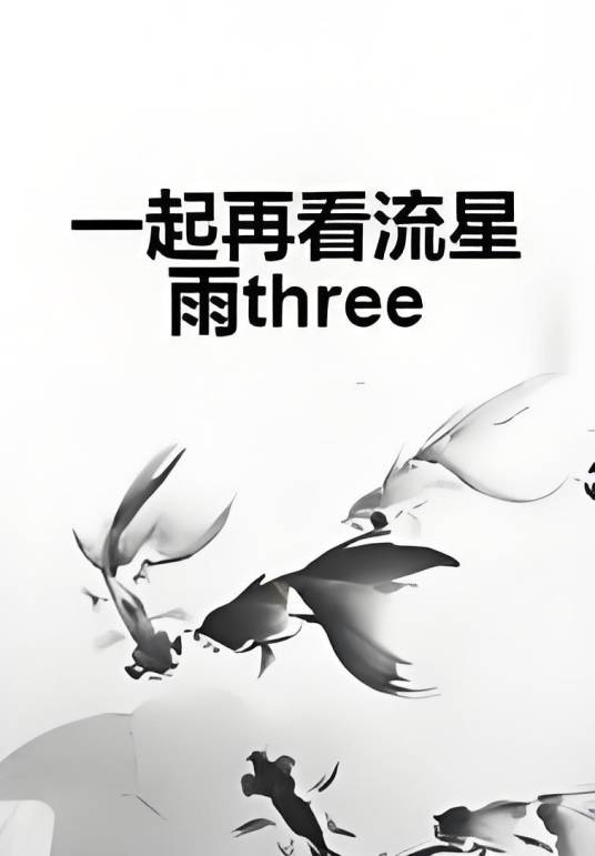 一起再看流星雨three