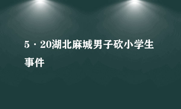 5·20湖北麻城男子砍小学生事件