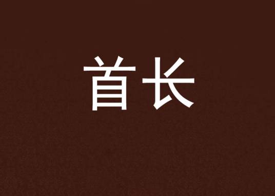 首长（夏言冰创作的官场沉浮类网络小说）