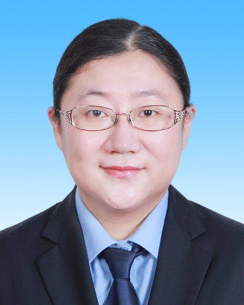 唐硕（北京市大兴区北臧村镇党委委员、组织部长、统战部长、工会主席）