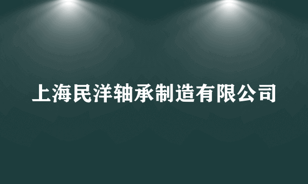 上海民洋轴承制造有限公司