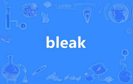 bleak（英语单词）