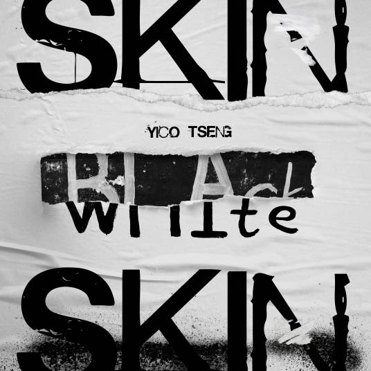 skin（曾轶可演唱的歌曲）