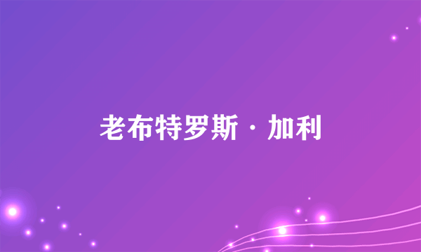 老布特罗斯·加利