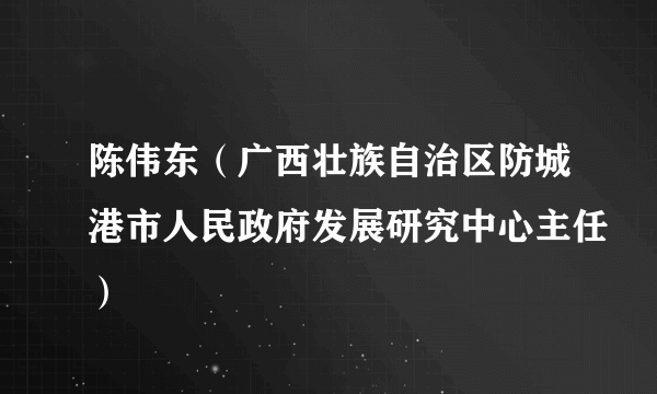 陈伟东（广西壮族自治区防城港市人民政府发展研究中心主任）