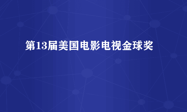 第13届美国电影电视金球奖