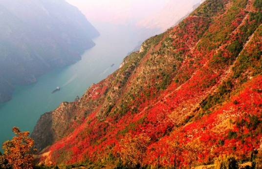长江三峡国际红叶节
